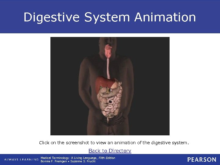 Digestive System Animation Click on the screenshot to view an animation of the digestive