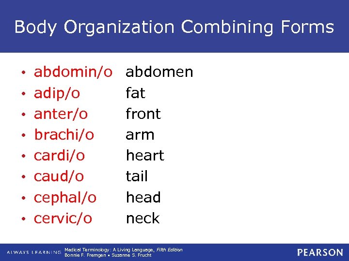 Body Organization Combining Forms • • abdomin/o adip/o anter/o brachi/o cardi/o caud/o cephal/o cervic/o