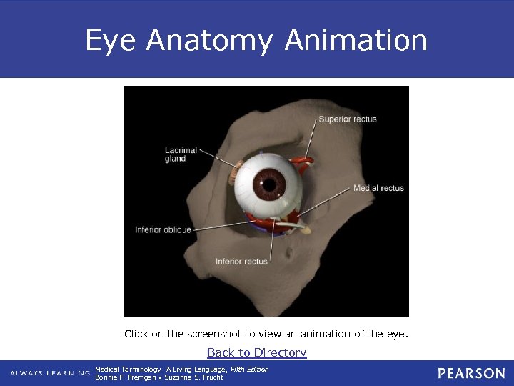 Eye Anatomy Animation Click on the screenshot to view an animation of the eye.