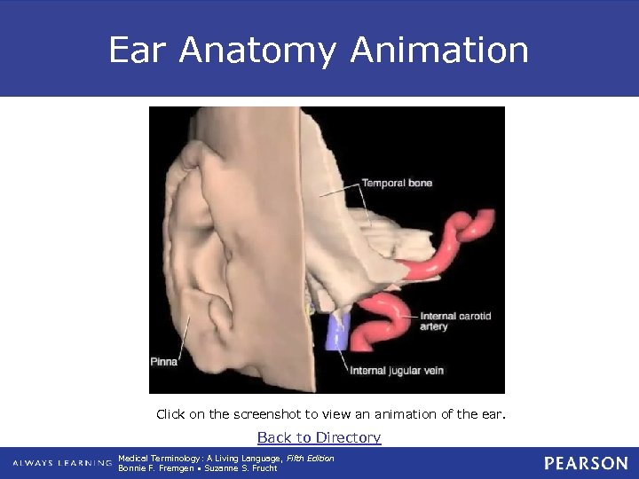 Ear Anatomy Animation Click on the screenshot to view an animation of the ear.