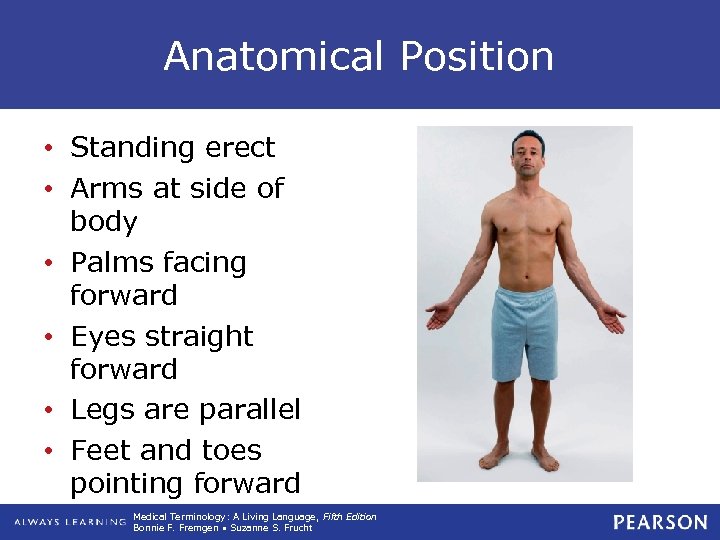 Anatomical Position • Standing erect • Arms at side of body • Palms facing