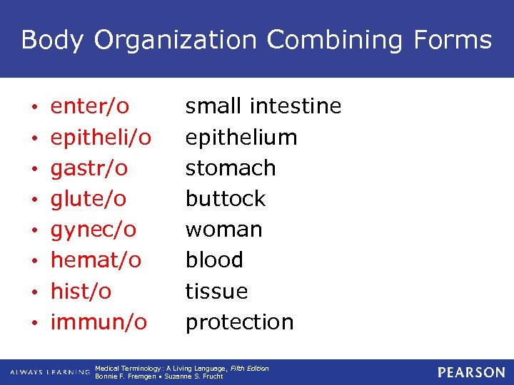 Body Organization Combining Forms • • enter/o epitheli/o gastr/o glute/o gynec/o hemat/o hist/o immun/o