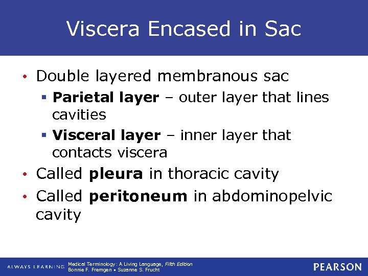 Viscera Encased in Sac • Double layered membranous sac § Parietal layer – outer