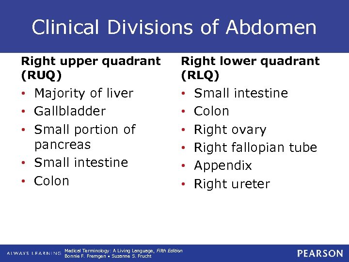 Clinical Divisions of Abdomen Right upper quadrant (RUQ) Right lower quadrant (RLQ) • Majority