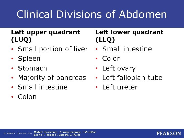 Clinical Divisions of Abdomen Left upper quadrant (LUQ) • • • Small portion of