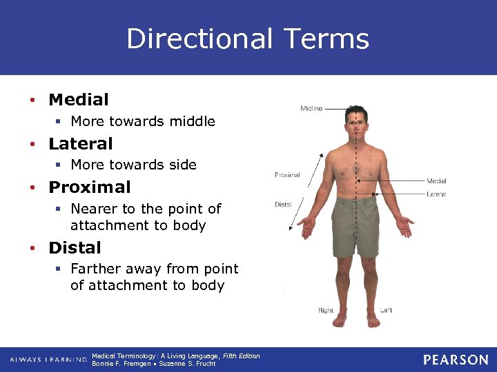 Directional Terms • Medial § More towards middle • Lateral § More towards side