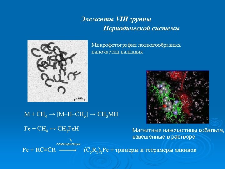 Элементы VIII группы Периодической системы Микрофотография подковообразных наночастиц палладия М + СН 4 →