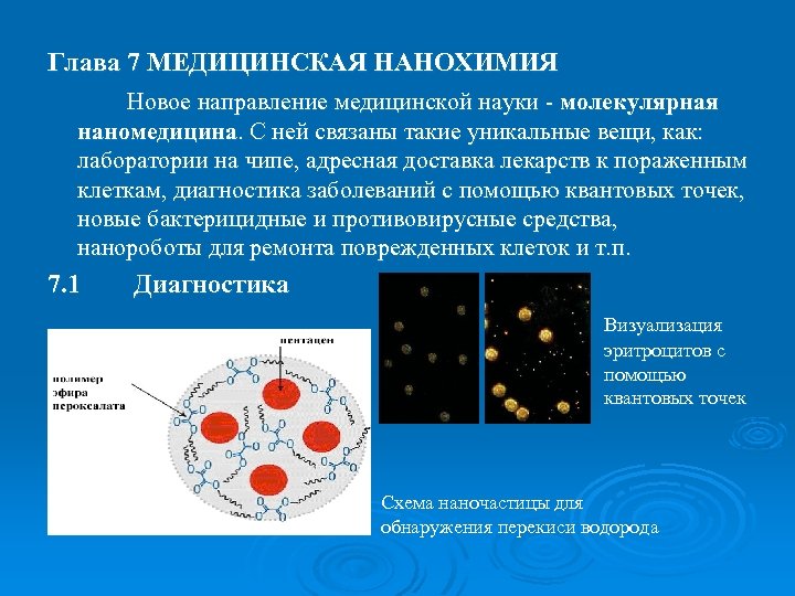 Глава 7 МЕДИЦИНСКАЯ НАНОХИМИЯ Новое направление медицинской науки - молекулярная наномедицина. С ней связаны