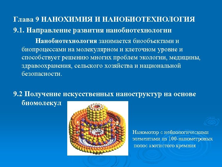 Глава 9 НАНОХИМИЯ И НАНОБИОТЕХНОЛОГИЯ 9. 1. Направление развития нанобиотехнологии Нанобиотехнология занимается биообъектами и