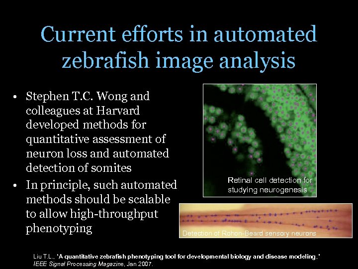 Current efforts in automated zebrafish image analysis • Stephen T. C. Wong and colleagues