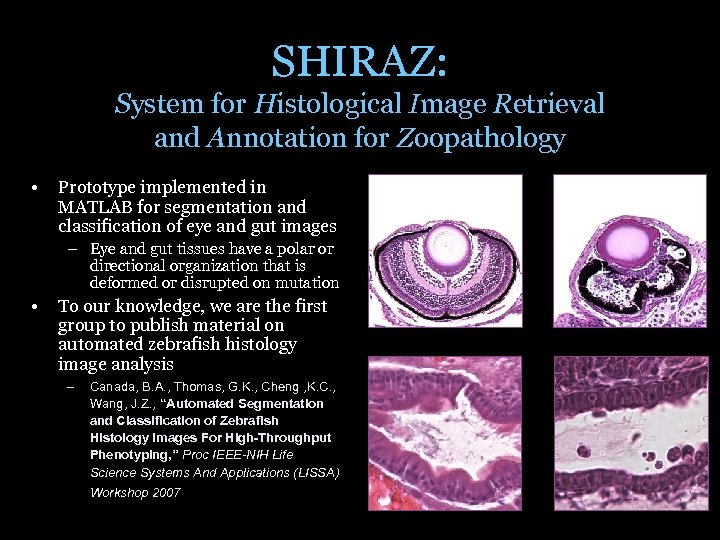 SHIRAZ: System for Histological Image Retrieval and Annotation for Zoopathology • Prototype implemented in