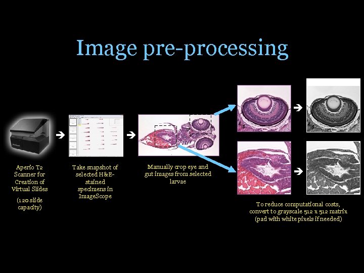 Image pre-processing Aperio T 2 Scanner for Creation of Virtual Slides (120 slide capacity)