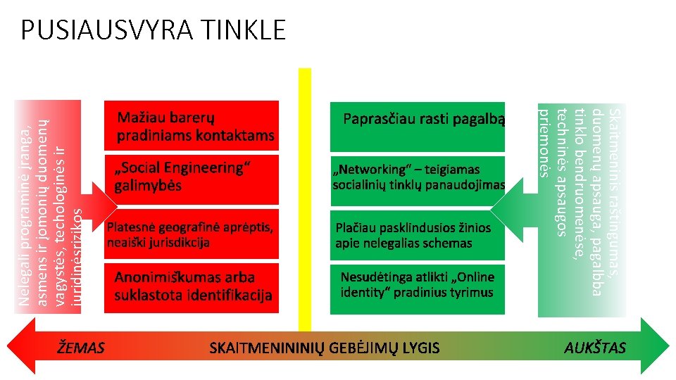 Skaitmeninis raštingumas, duomenų apsauga, pagalbba tinklo bendruomenėse, techninės apsaugos priemonės Nelegali programinė įranga, asmens