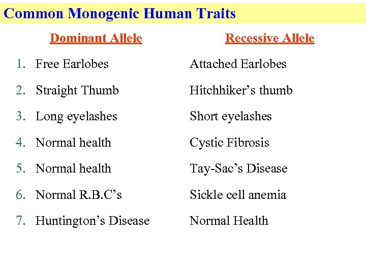 Common Monogenic Human Traits Dominant Allele Recessive Allele 1. Free Earlobes Attached Earlobes 2.