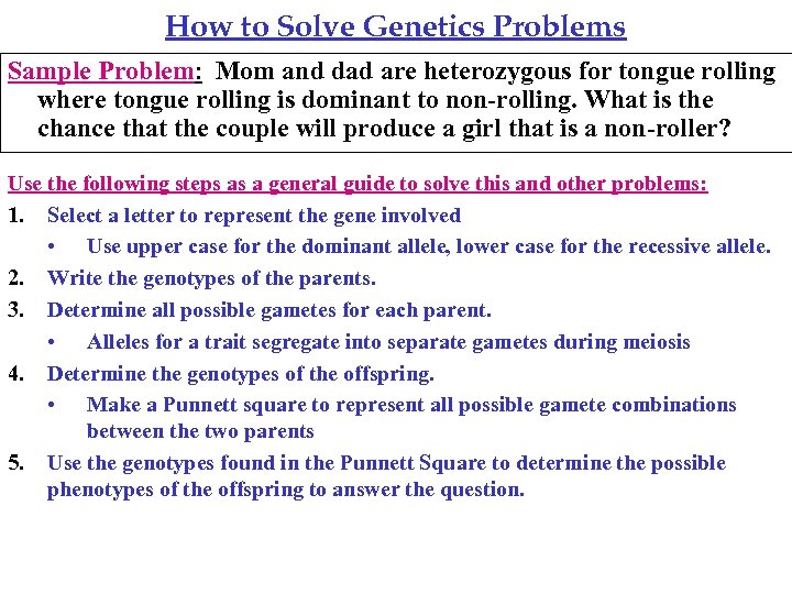 How to Solve Genetics Problems Sample Problem: Mom and dad are heterozygous for tongue