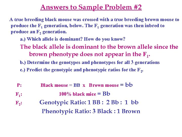 Answers to Sample Problem #2 A true breeding black mouse was crossed with a