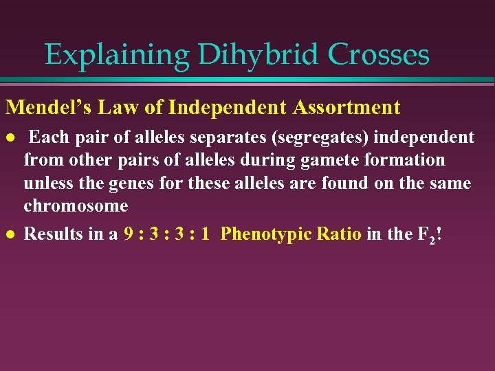 Explaining Dihybrid Crosses Mendel’s Law of Independent Assortment l l Each pair of alleles