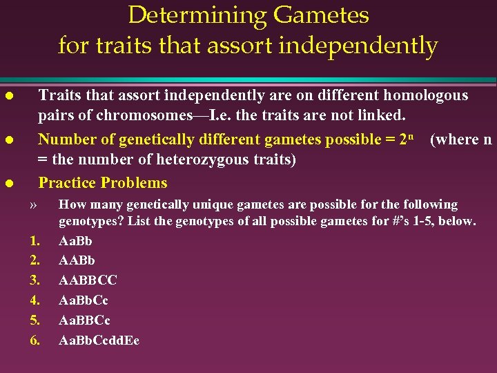 Determining Gametes for traits that assort independently Traits that assort independently are on different