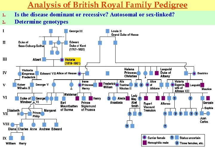 Analysis of British Royal Family Pedigree 1. 2. Is the disease dominant or recessive?