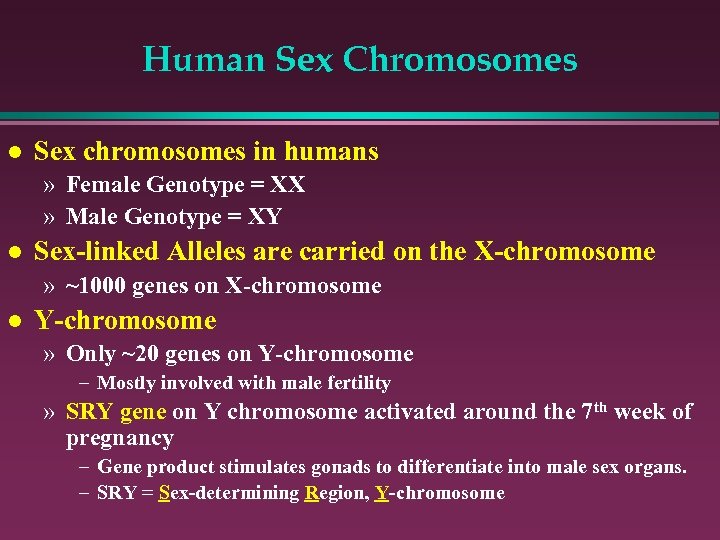 Human Sex Chromosomes l Sex chromosomes in humans » Female Genotype = XX »