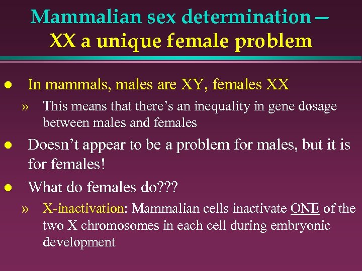 Mammalian sex determination— XX a unique female problem l In mammals, males are XY,