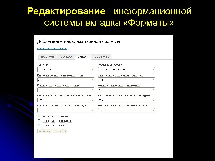 Редактирование информационной системы вкладка «Форматы» 