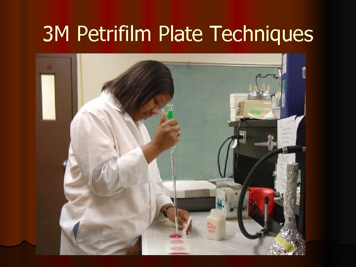 3 M Petrifilm Plate Techniques 