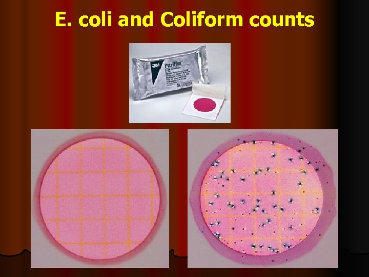 E. coli and Coliform counts 