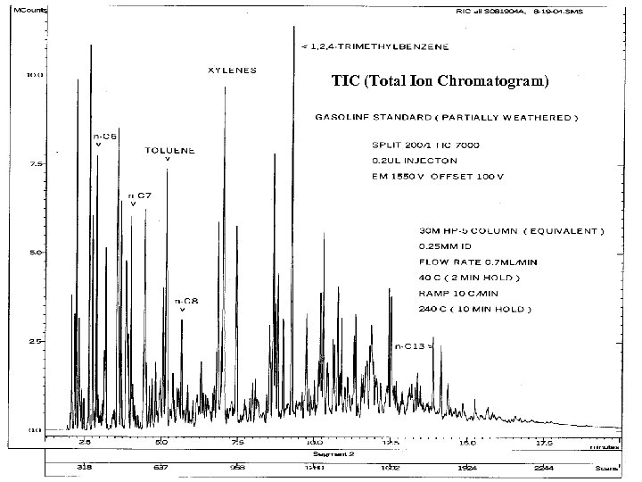 TIC (Total Ion Chromatogram) 