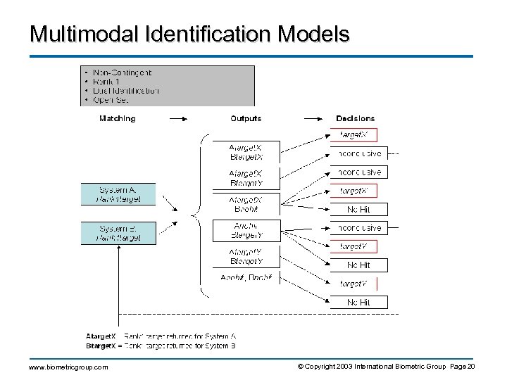 Multimodal Identification Models www. biometricgroup. com © Copyright 2003 International Biometric Group Page 20