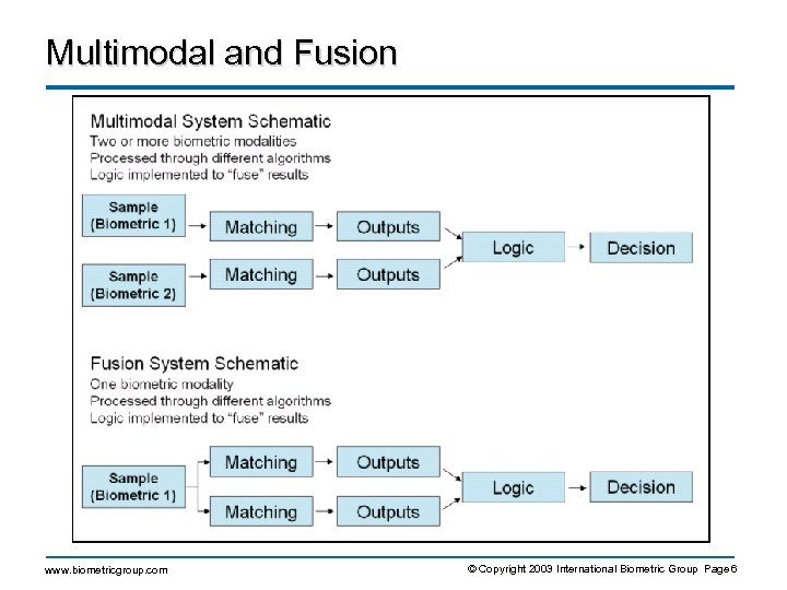 Multimodal and Fusion www. biometricgroup. com © Copyright 2003 International Biometric Group Page 6