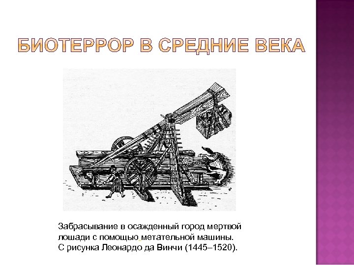Забрасывание в осажденный город мертвой лошади с помощью метательной машины. С рисунка Леонардо да