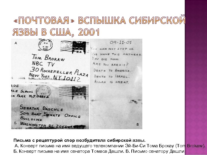 Письма с рецептурой спор возбудителя сибирской язвы. А. Конверт письма на имя ведущего телекомпании