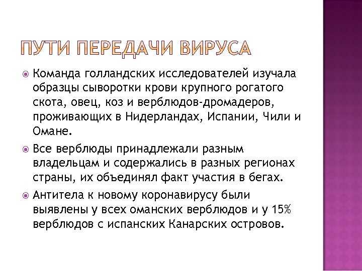 Команда голландских исследователей изучала образцы сыворотки крови крупного рогатого скота, овец, коз и верблюдов-дромадеров,