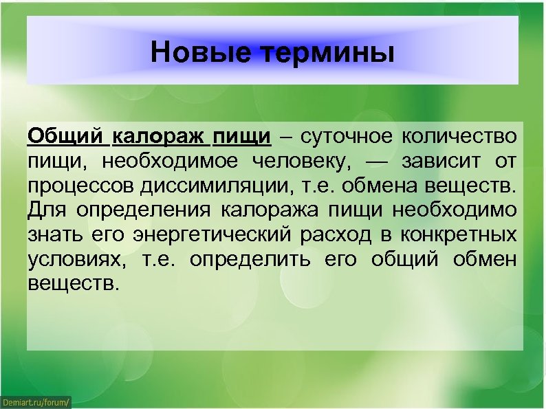 Новые терминологии. От чего зависит количество необходимой пищи. От чего зависит количество употребляемой пищи. От чего зависит количество принимаемой человеком пищи. Зависимость и процессы в человеке от пищи.