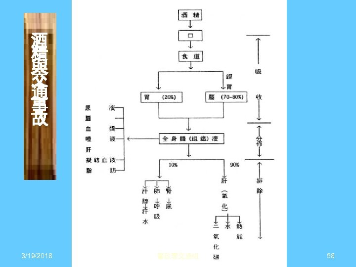 酒 精 與 交 通 事 故 3/19/2018 警政署交通組 58 