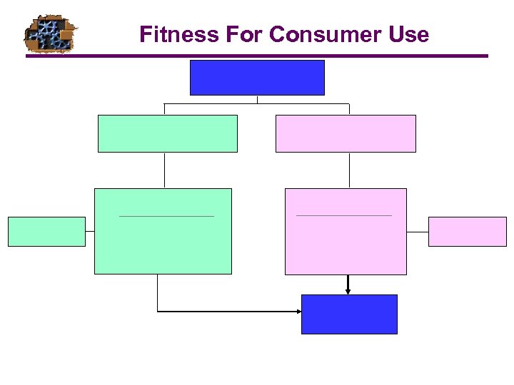 Fitness For Consumer Use 