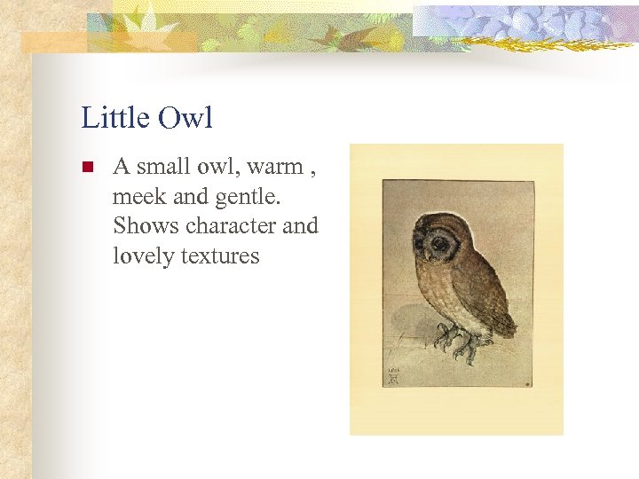 Little Owl n A small owl, warm , meek and gentle. Shows character and