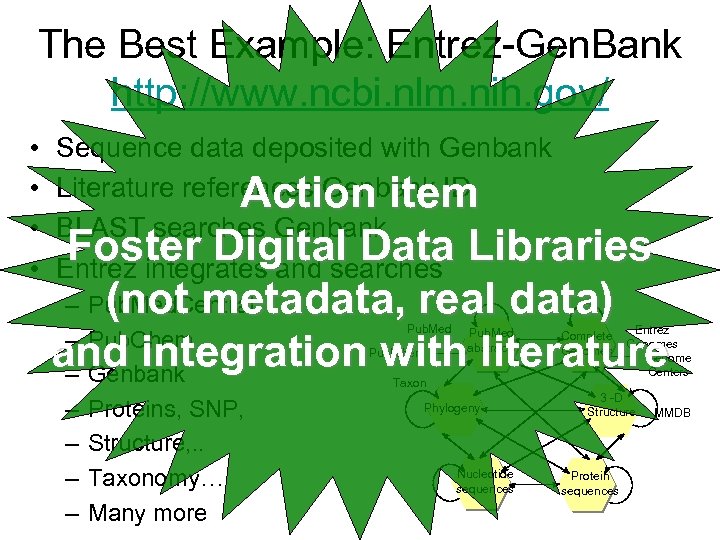 The Best Example: Entrez-Gen. Bank http: //www. ncbi. nlm. nih. gov/ • • Sequence