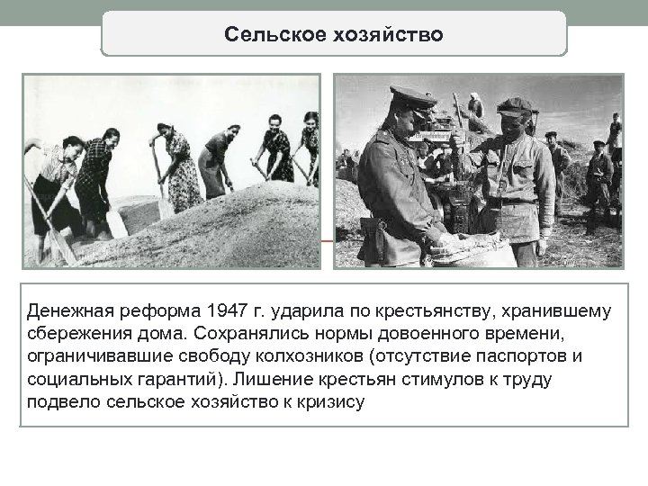 Сельское хозяйство Денежная реформа 1947 г. ударила по крестьянству, хранившему сбережения дома. Сохранялись нормы