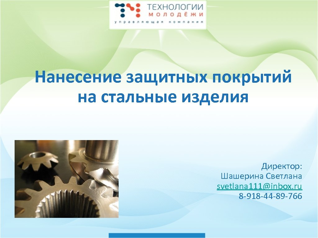 Нанесение защитных покрытий на стальные изделия Директор: Шашерина Светлана svetlana 111@inbox. ru 8 -918