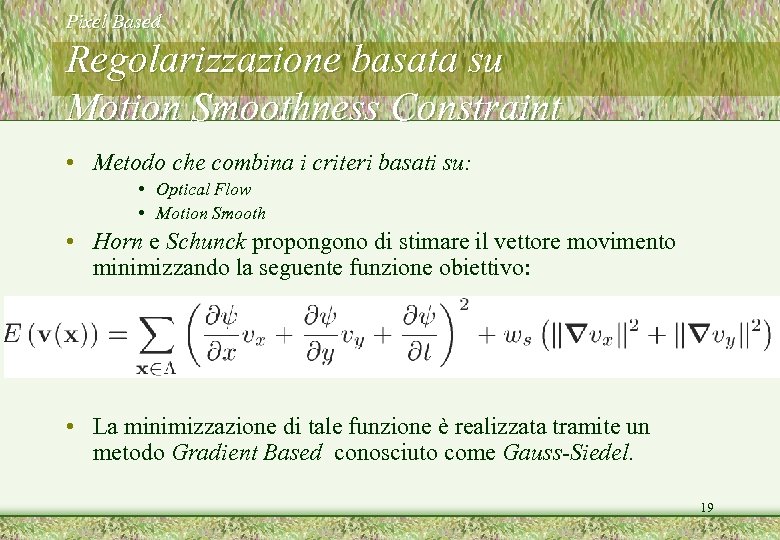 Pixel Based Regolarizzazione basata su Motion Smoothness Constraint • Metodo che combina i criteri