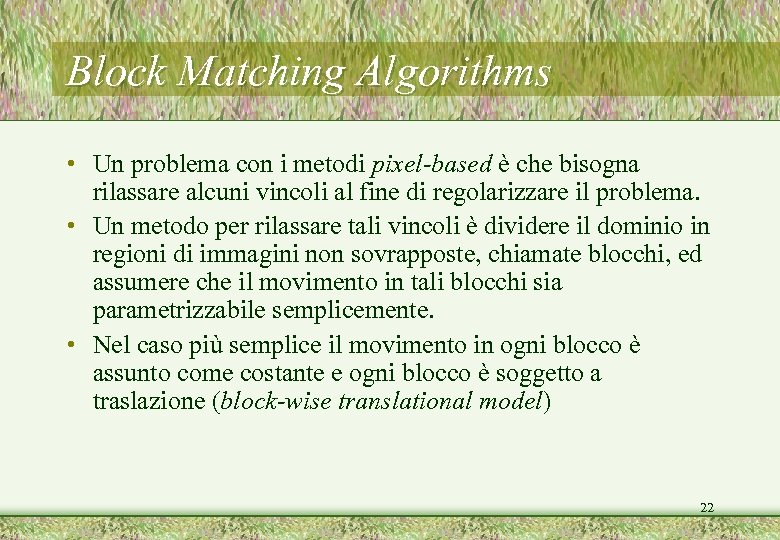 Block Matching Algorithms • Un problema con i metodi pixel-based è che bisogna rilassare