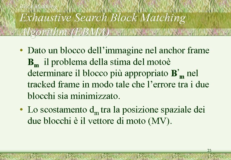 Block Matching Exhaustive Search Block Matching Algorithm (EBMA) • Dato un blocco dell’immagine nel