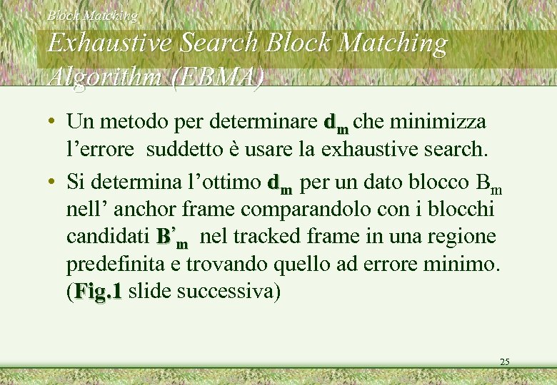 Block Matching Exhaustive Search Block Matching Algorithm (EBMA) • Un metodo per determinare dm