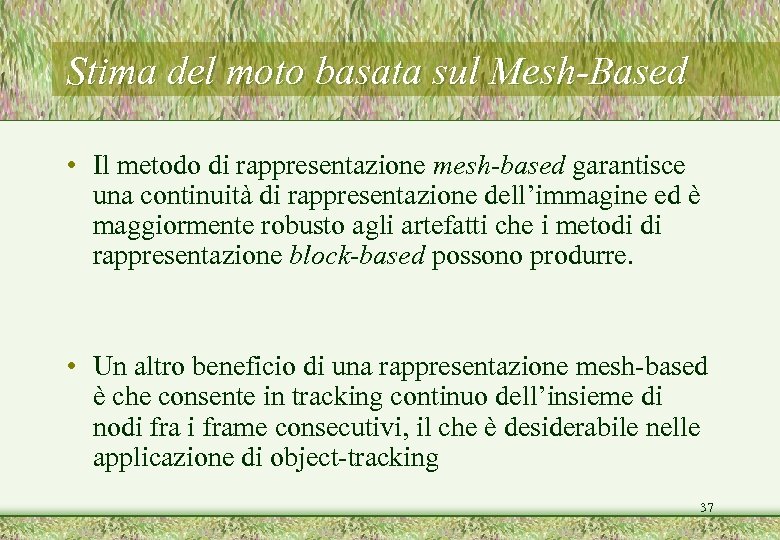Stima del moto basata sul Mesh-Based • Il metodo di rappresentazione mesh-based garantisce una
