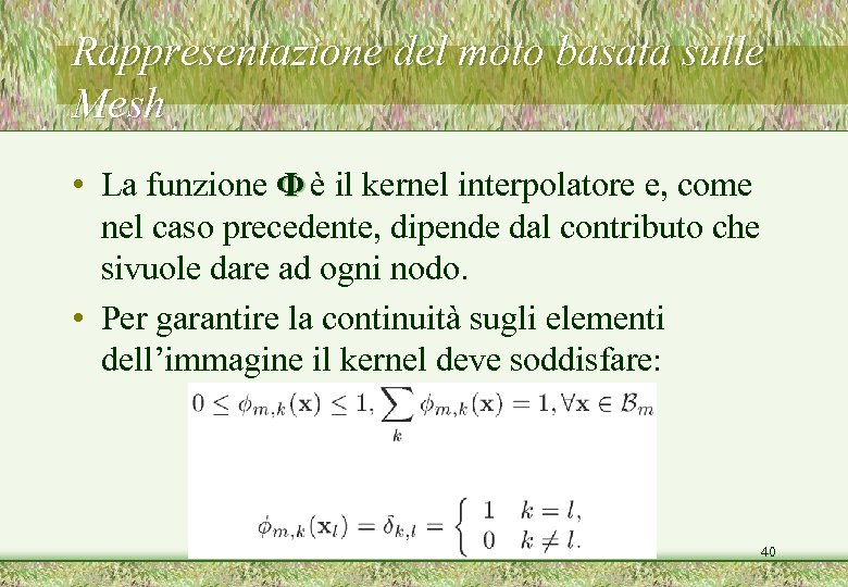 Rappresentazione del moto basata sulle Mesh • La funzione Φ è il kernel interpolatore