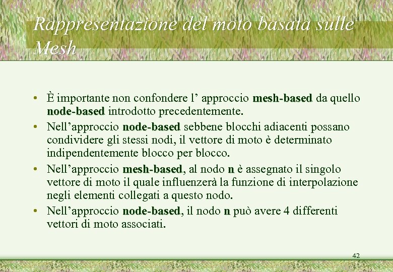 Rappresentazione del moto basata sulle Mesh • È importante non confondere l’ approccio mesh-based