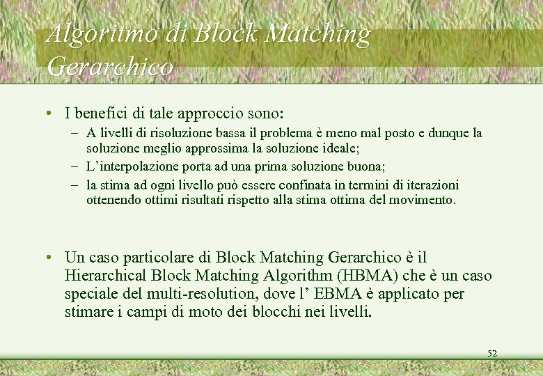 Algoritmo di Block Matching Gerarchico • I benefici di tale approccio sono: – A