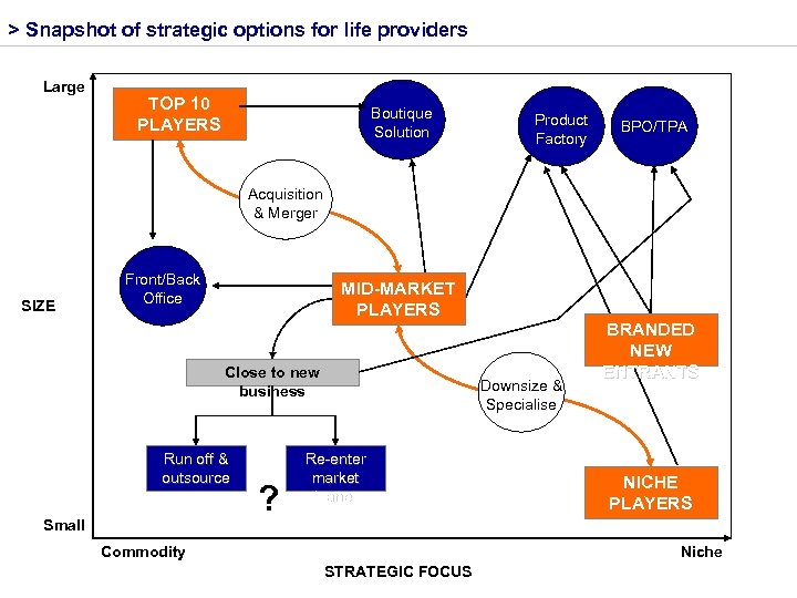 > Snapshot of strategic options for life providers Large TOP 10 PLAYERS Boutique Solution